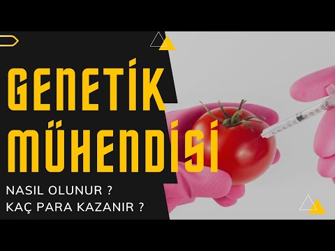 Video: Genetik mühendisliğinin üç örneği nedir?