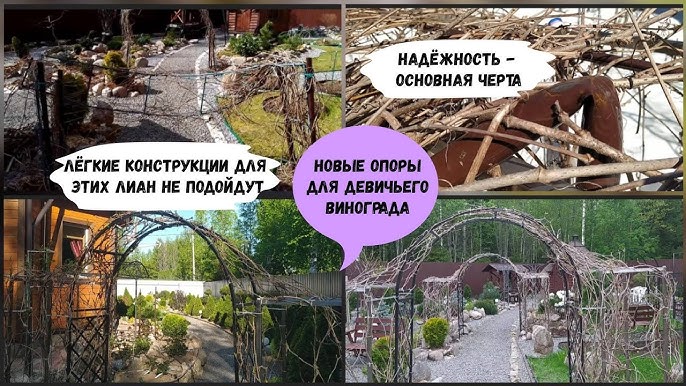 Как создать красивую беседку из дикого винограда своими руками: фото и ...