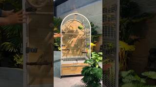 This is a luxury parrot cage that can house medium to large parrots. #parrots #birds #parrot #pets
