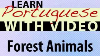 ⁣Learn Brazilian Portuguese with Video - Forest Animals
