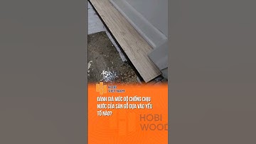 Các yếu tố quyết định độ chịu nước của sàn gỗ  | Hobi Việt Nam