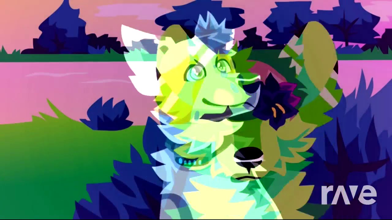 Cantilope | Meme (original sound) Xcaosx