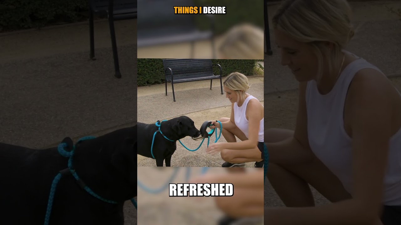 Dog Leash Handle Water Bottle