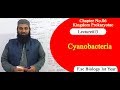 Biology Ch#06-Lecture#13 Cyanobacteria  (F.Sc 1st Year)