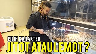 CARA MENGENALI / BENTUK KARAKTER BIAWAK!!! - PILIH JITOT ATAU LEMOT???