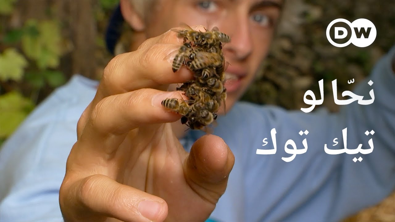 وثائقي | تربية نحل حديثة عبر تيك توك | وثائقية دي دبليو