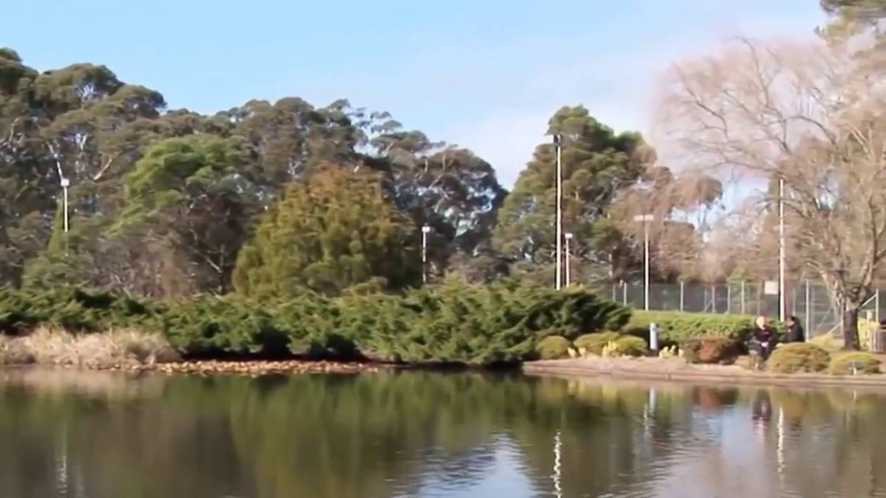OnTrack Health Retreat Reviews By Rob YouTube