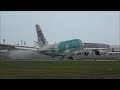 【台風17号 横風強風着陸をまとめてみた ウミガメも壮絶他全8機】Rwy16R 成田空港 nrthhh
