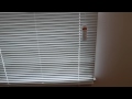 Product REVIEW How to Install Home Depot Bali 1" Aluminum Mini Blinds and shorten them