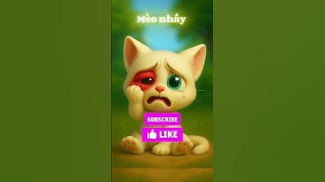 Mèo con và anh kế thi đấm bốc #shorts #cat #catai #ai #meow