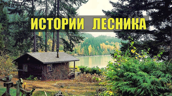 ИСТОРИИ из ЖИЗНИ ЛЕСНИКА НА НОЧЬ СУДЬБА ЖИЗНЬ МЕДВЕДИ ВОЛКИ в ЛЕСУ СЕРИАЛ ВСЕ СЕРИИ