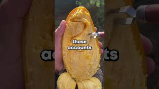 My ex-husband showed up at my new wedding uninvited. He wasn't there to stop it — he was there to wa