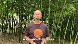 The Power of Non-Action: Wu Wei \& Yielding Energy | Tao Te Ching Chapter 2