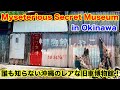 Mysterious secret classic car museum in Okinawa 知る人ぞ知る沖縄の不思議なクラシックカー博物館「沖縄古代おもしろ博物館しゃこ」 4k cinematic