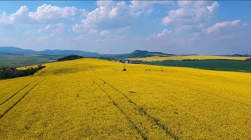 DJI Spark first video footage