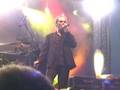 Jarocin 2008 Peter Murphy Disappearing mp3