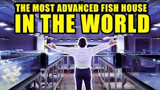 PRIVATE TOUR of The most ADVANCED aquarium fish room  The king of DIY visits Tidal gardens