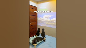 WANBO T2 Max (Auto Focus, Auto Vertical, 4D Keystone) #shortsvideo #shorts