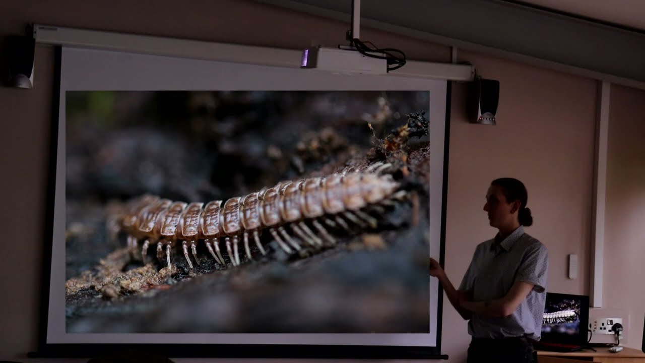 Talking Bugs And Macro Photography - Forest Of Marston Vale Volunteer AGM 2023