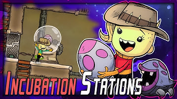 Incubating ALL Of The HATCHES in Oxygen Not Included
