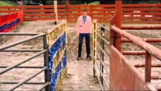 Jackass 3D - Roller Buffalo