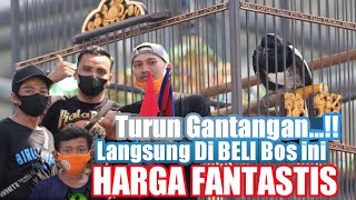 KACER SULTAN‼️GILA..HABIS TURUN GANTANGAN LANGSUNG DI TAKE OVER DENGAN HARGA FANTASTIS