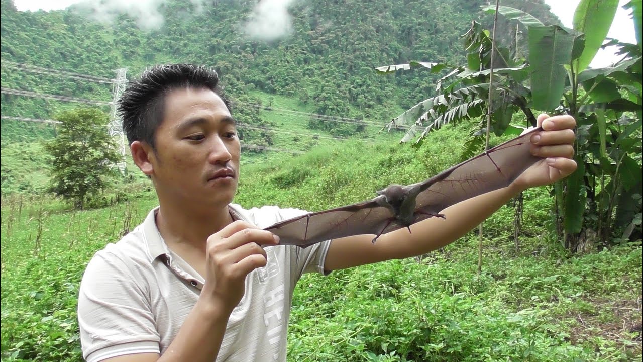 cuab-noog-rau-puav-how-to-stop-bat-youtube