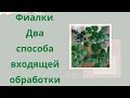 Фиалки. Входящая обработка для деток. Два способа.