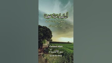 سورة النسآء - آیت 28 - الشیخ سعد الغامدی#تلاوات #تلاوة_خاشعة #تلاوة_هادئة