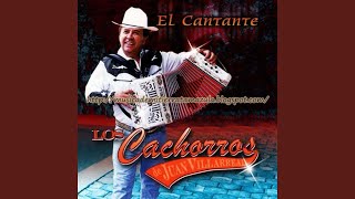 Video thumbnail of "Los Cachorros De Juan Villarreal - El Cantante"