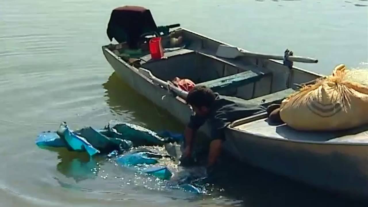 فیلمی دۆكیۆمێنتاری له‌ ده‌ریاچه‌ی سیروان له‌گه‌ڵ ماسیگراندا.