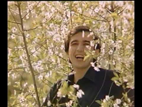 Назарій Яремчук Запитай у серця