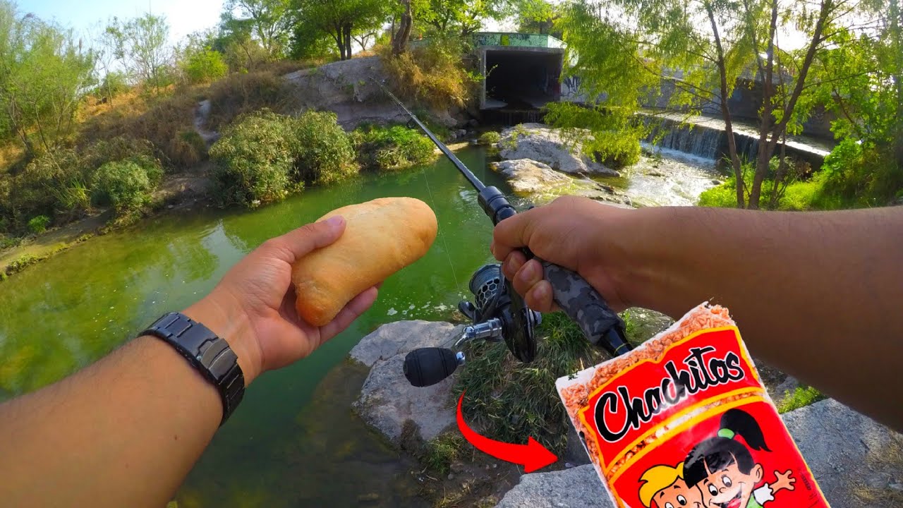 Pesca en Rio Contaminado - PESCANDO CON EL REGIO