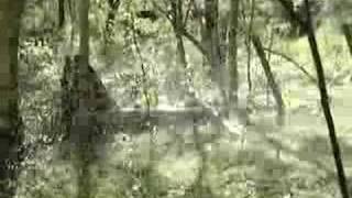 Root Beer Explodes