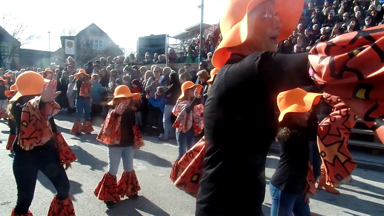 Video 1.Teil /Mullerumzug in Rum am 24.2.2019