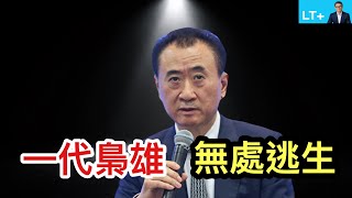 一個時代的梟雄，不想陪葬一個時代的結束，又無處可逃。為何王健林與萬達無法善終？“一個小目標”成為後人理解那個瘋狂時代的標註。