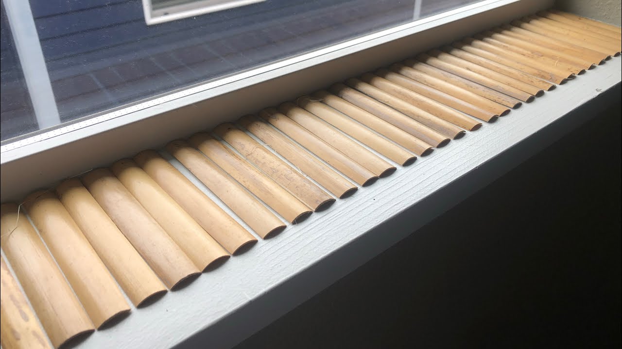 Gouging bassoon cane