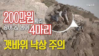 200만원짜리 광어 & 농어 4마리 한번 봐주세요 - 서해 태안 안면도 루어 낚시 포인트