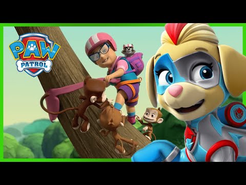 Cat Pack and Pups stop Humdinger’s Metal Eating Tiger! | PAW Patrol ...