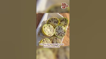 Cùng Là Dưa Hấu Nhưng Sao Dưa Hấu Ở Sa Mạc Lại Không Ăn Được??? - TikTok Kiến Không Ngủ #Shorts