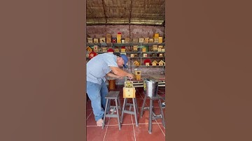 Hướng dẫn lấy mật ong dú siêu dễ trong 1 phút, ai cũng làm được! #shorts