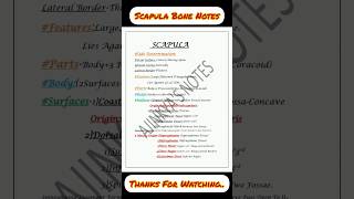 Scapula Bone Notes #shorts #ytshorts #youtubeshorts #mbbsnotes #medical #medical