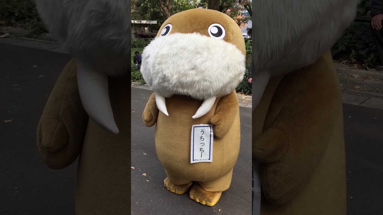 うちっちーがひたすら可愛い動画 YouTube