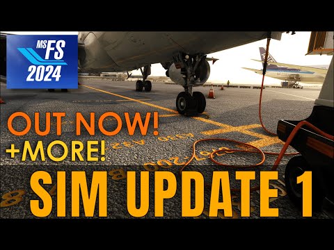 MSFS 2024 Sim