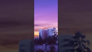 Elegy - Asher Fulero Backsound No Copyright