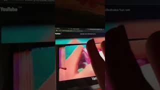 Celebrity Bees are fighting back Net Worth