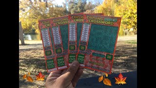 CA LOTTERY‼️TRIPLING “BONUS” CROSSWORD SESSION at the park 🤞