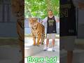 Thailand with a huge tiger