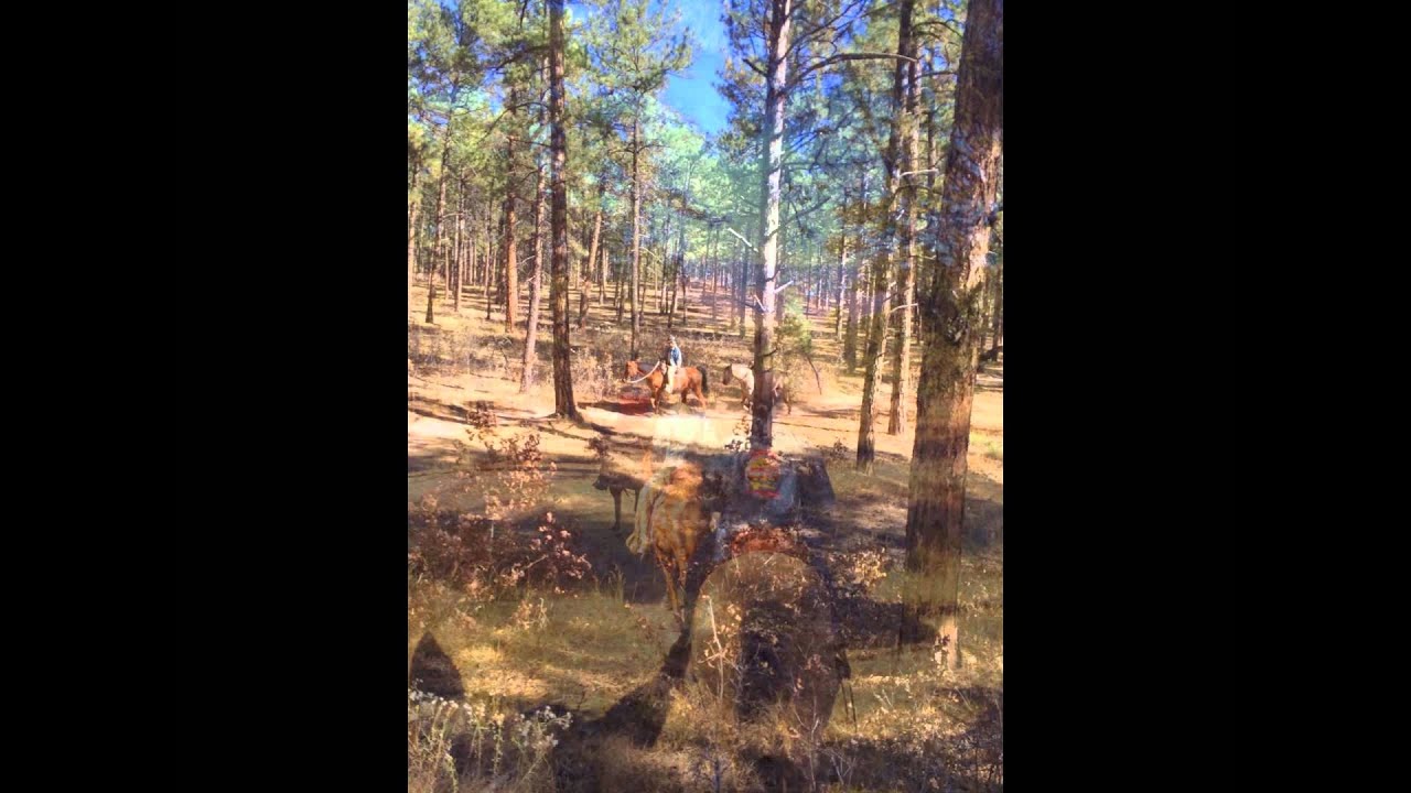 Dawson's Butte Trail Ride, Sedalia, CO