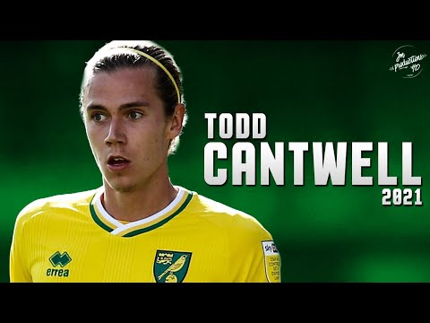 Todd Cantwell 2021 ► Amazing Skills, Assists & Goals -  Norwich City | HD